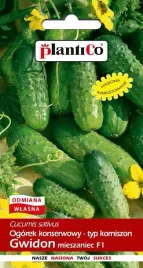 nasiona-ogorek-gruntowy-gwidon-konserwowy-do-kwaszenia-5g-plantico-401150