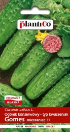 nasiona-ogorek-gruntowy-gomes-konserwowy-do-kwaszenia-5g-plantico-401143