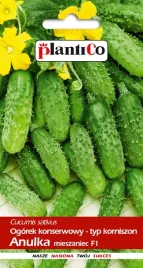 nasiona-ogorek-gruntowy-anulka-konserwowy-3g-plantico-401488