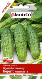 nasiona-ogorek-gruntowy-rejent-konserwowy-do-kwaszenia-5g-plantico-401532