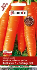 nasiona-marchew-jadalna-berlikumer-2-perfekcja-gof-6g-plantico-403154