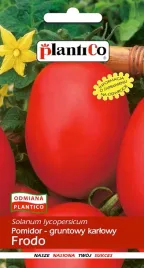 nasiona-pomidor-gruntowy-karlowy-frodo-1g-plantico-405547