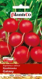 nasiona-rzodkiewka-galaxy-10g-plantico-406179
