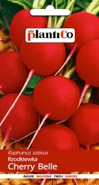 nasiona-rzodkiewka-cherry-belle-10g-plantico-406193