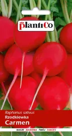 nasiona-rzodkiewka-carmen-10g-plantico-406124