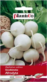 nasiona-rzodkiewka-afrodyta-5g-plantico-biala-406186