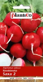 nasiona-rzodkiewka-saxa-polana-10g-plantico-406018