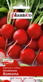 nasiona-rzodkiewka-ramona-10g-plantico-406247