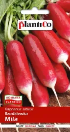 nasiona-rzodkiewka-mila-podluzna-10g-plantico-406445