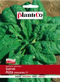 nasiona-szpinak-asta-mieszaniec-f1-10g-plantico-404519