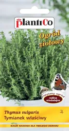 nasiona-tymianek-wlasciwy-pospolity-03g-plantico-miododajny-424135