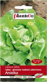 nasiona-salata-szklarniowa-maslowa-anielka-1g-plantico-404038