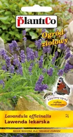 nasiona-lawenda-lekarska-02g-plantico-miododajna-424074