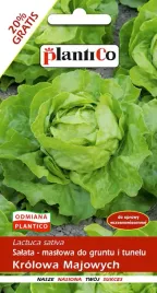 nasiona-salata-glowiasta-maslowa-krolowa-majowych-12g-plantico-404311