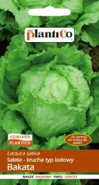 nasiona-salata-lodowa-glowiasta-krucha-bakata-1g-plantico-404427