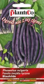 nasiona-fasola-szparagowa-tyczna-blauhilde-10g-plantico-fioletowa-407947
