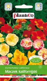 nasiona-kwiatow-maczek-kalijornijski-pozlotka-eszolcja-1g-kwiaty-411364