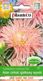 nasiona-kwiatow-aster-chinski-igielkowy-lososiowy-ewa-1g-kwiaty-410459