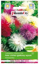 nasiona-kwiatow-aster-chinski-igielkowy-mieszanka-mix-wysoki-kwiaty-410404