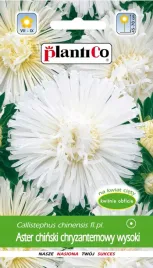 nasiona-kwiatow-aster-chinski-chryzantemowy-wysoki-bialy-1g-kwiaty-410374