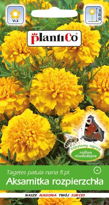 nasiona-kwiatow-aksamitka-rozpierzchla-zolta-1g-kwiaty-aksamitki-413108-rodzaj-rosliny-aksamitki