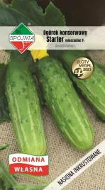 nasiona-ogorek-gruntowy-starter-mieszaniec-5g-spojnia-326352