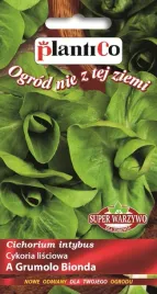 nasiona-cykoria-lisciowa-a-grumolo-bionda-2g-plantico-cykorii-404748