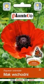 nasiona-kwiatow-mak-wschodni-05g-kwiaty-422117