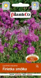 nasiona-kwiatow-firletka-smolka-05g-kwiaty-firletki-422001