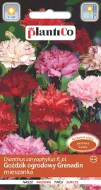 nasiona-kwiatow-gozdzik-ogrodowy-mieszanka-mix-05g-kwiaty-grenadin-421240