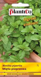 nasiona-mieta-pieprzowa-01g-plantico-miety-424111