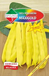nasiona-fasola-szparagowa-karlowa-maxigold-30g-spojnia-fasoli-zolta-700411