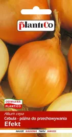 nasiona-cebula-efekt-pozna-5g-plantico-cebuli-400115