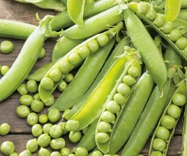 nasiona-groch-luskowy-wczesny-50g-spojnia-grochu-groszek-700312