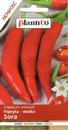 nasiona-papryka-slodka-sora-czerwona-dluga-03g-plantico-papryki-405769