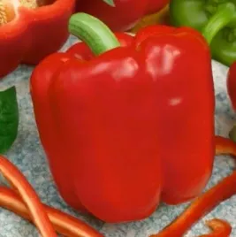 nasiona-papryka-slodka-balladyna-czerwona-05g-plantico-papryki-405783