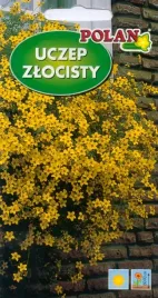 nasiona-kwiatow-uszczep-zlocisty-zolty-zloty-deszcz-02g-kwiaty-365000