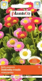 nasiona-stokrotka-polpelna-trwala-mieszanka-01g-kwiaty-stokrotki-420502