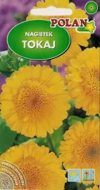 nasiona-kwiatow-nagietek-lekarski-wysoki-tokaj-3g-kwiaty-211529