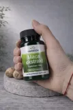 swanson-maca-ekstrakt-500-mg-60-kapsulek-producent-swanson-health-products