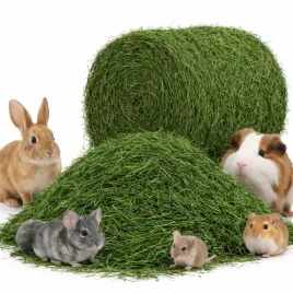 siano-naturalne-karma-dla-krolika-chomika-swinki-morskiej-4kg-xxl