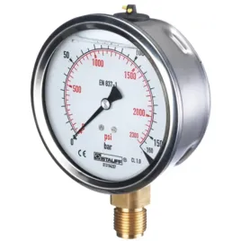 manometr-250-bar-100mm-1-2-85000444-wika