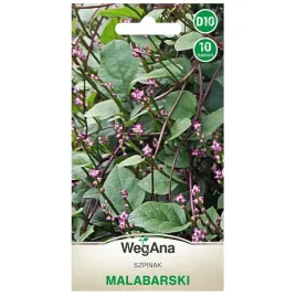 szpinak-malabarski-nasiona-szybko-rosnacy-pnacy-wegana