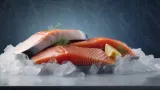 krewetki-gotowane-16-20-800g-rodzaj-krewetki