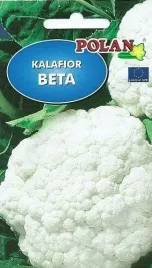 kalafior-beta-1g-nasiona-kalafiora-warzyw