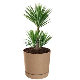 doniczka-oslonka-z-podstawka-okragla-o-30-cm-h-28-matowa-145-l-brazowa