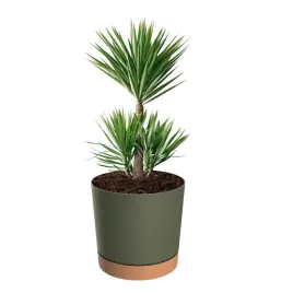 doniczka-oslonka-z-podstawka-okragla-o-40-cm-h-38-matowa-35-l-zielona
