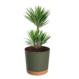 doniczka-oslonka-z-podstawka-okragla-o-30-cm-h-28-matowa-145-l-zielona