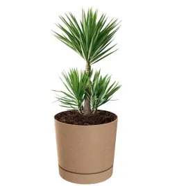 doniczka-oslonka-z-podstawka-okragla-o-30-cm-h-28-matowa-145-l-brazowa