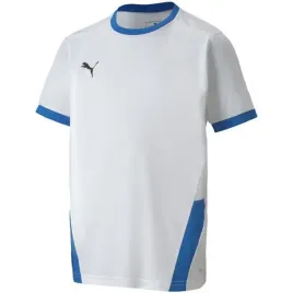 koszulka-meska-puma-teamgoal-23-jersey-jr-704160-12-r-176